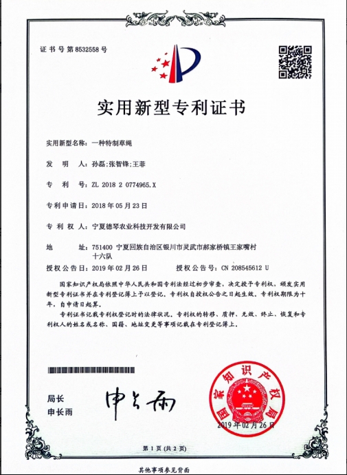 宁夏芭乐视频APP污在线子